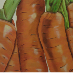 Zanahorias 30x30